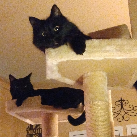 Meet your Posher, Jaime - Picture 15 of 15